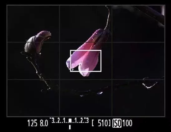 QQ截图20180326114425.png