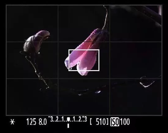 QQ截图20180326114502.png