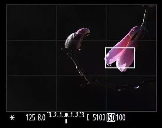 QQ截图20180326114533.png