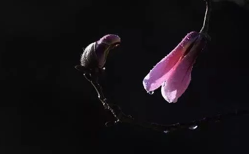 QQ截图20180326114705.png