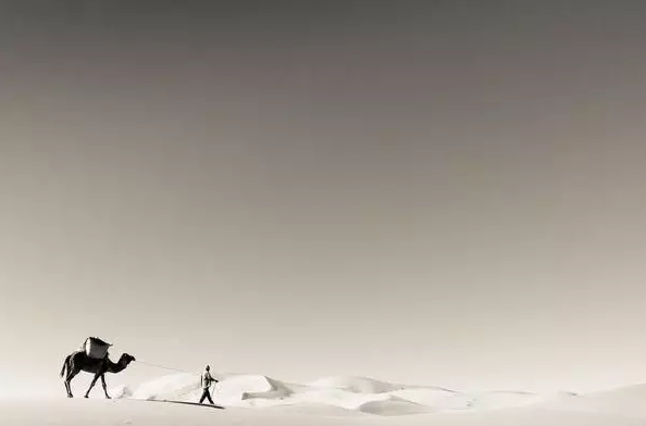 微信截图_20180407173503.png