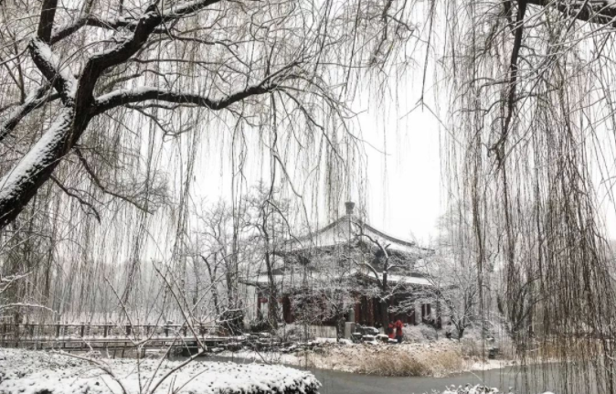 微信图片_20191216112245.png