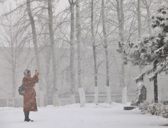 微信图片_20191216112248.png