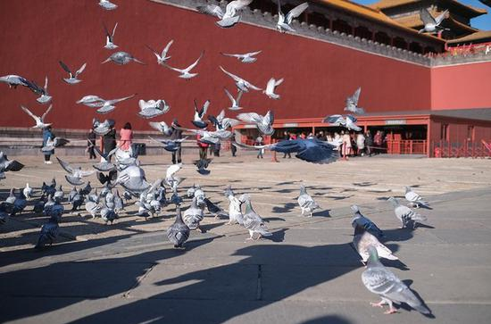 微信图片_20191217121129.png