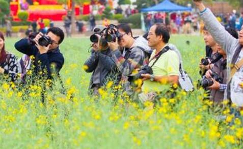 QQ截图20200218220621.jpg