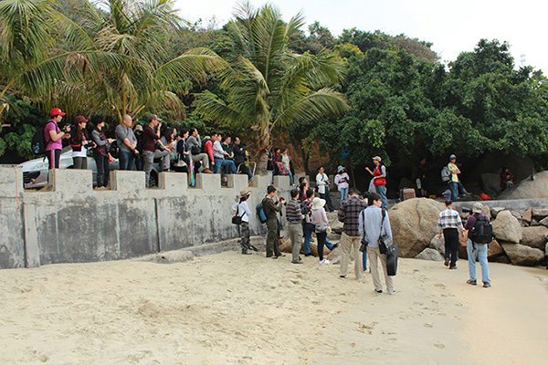 IMG_8312.jpg